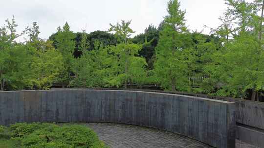 绵阳北川广场纪念碑附近水池与银杏林