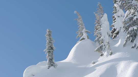 男人，雪，单板滑雪，极限运动