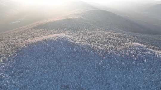 大兴安岭冬季黎明山林雾凇冷空气