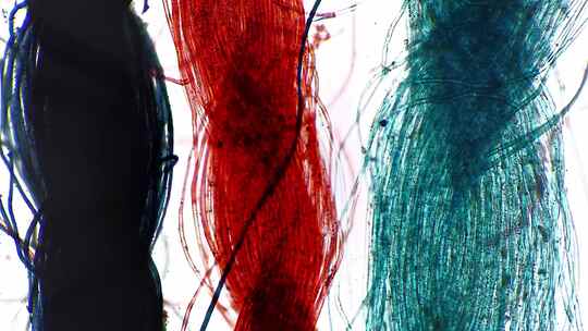 三种颜色的纤维在显微镜下的成像