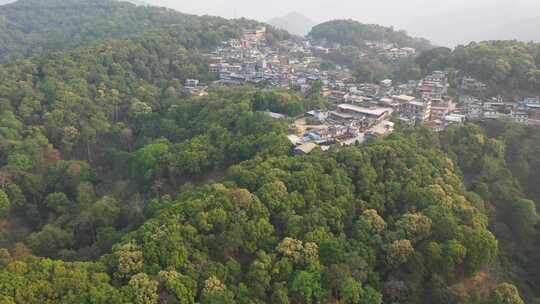 易武老班章勐海勐库冰岛茶茶园茶山视频素材模板下载