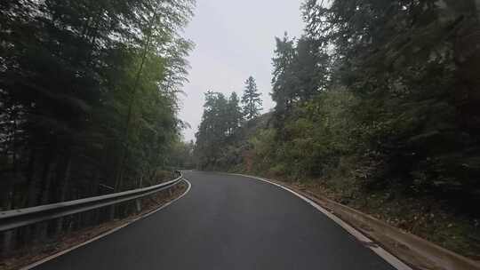 林间弯曲公路的风景