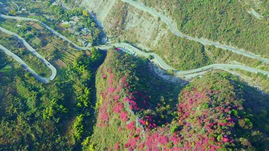 三峡红叶视频素材模板下载