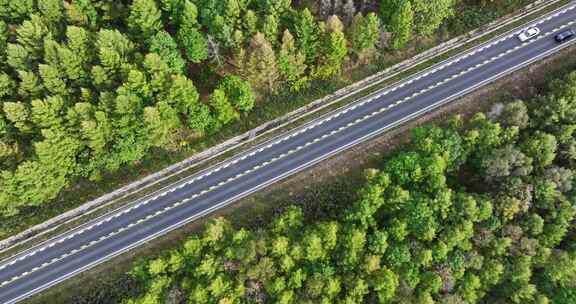 森林中的道路航拍