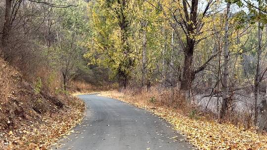 北京密云郊区秋天的山路