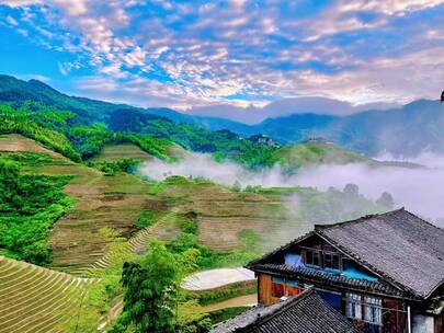 风景这边独好，花海，治愈系风景，日落