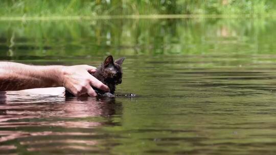 男人教小猫在河里游泳