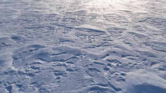 呼伦贝尔草原冬季风吹雪