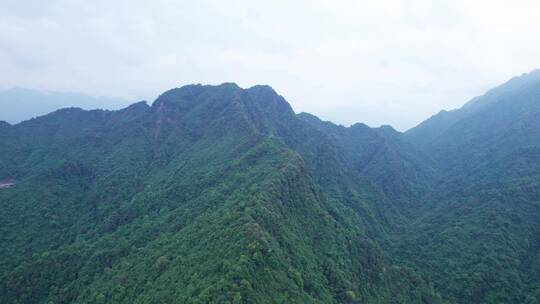 青城山后山自然风光