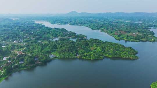 信阳南湾湖茶园风光航拍