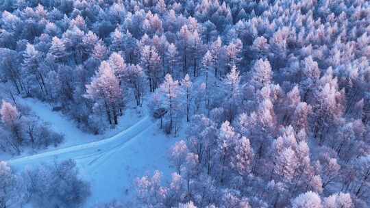 大兴安岭雪景冬季自然风光雾凇雪景寒冬美景