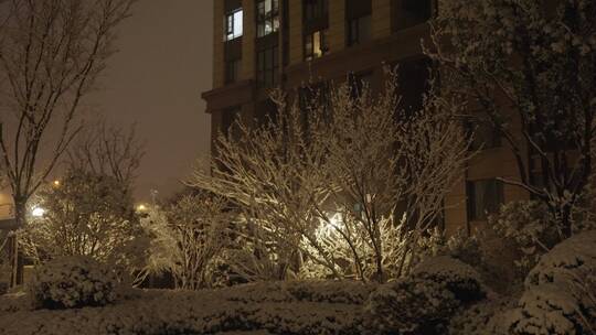 小区下雪夜景唯美飘雪