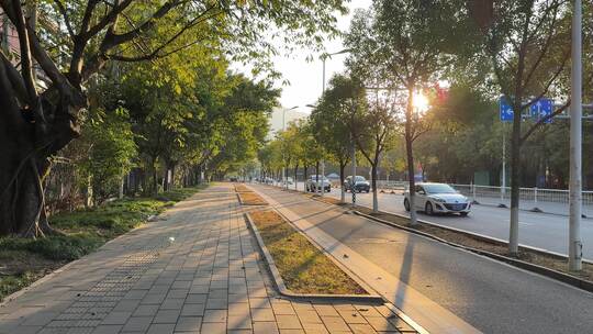 夕阳照射下的道路 人行道 机动车车流