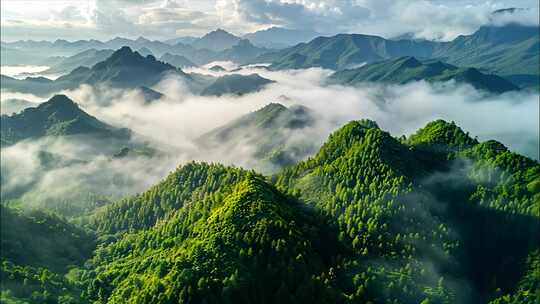 森林大自然风光自然山间小溪水瀑布清晨阳光