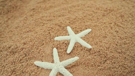 实拍海滩沙滩上海星和西瓜凉鞋