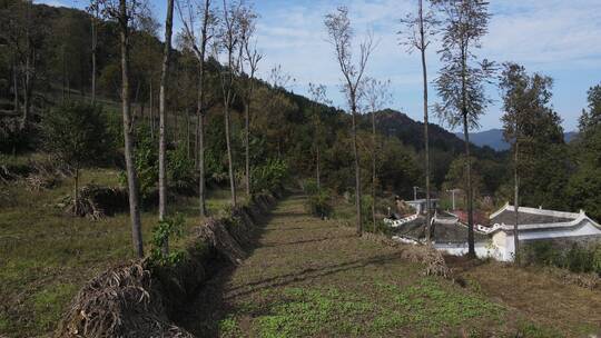 山间田野老建筑寺庙航拍