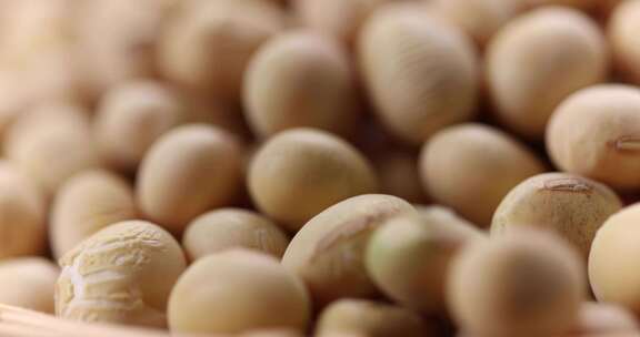 农家非转基因原生态黄豆