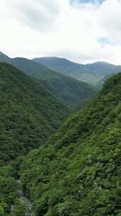 竖版航拍湖北神农架官门山景区