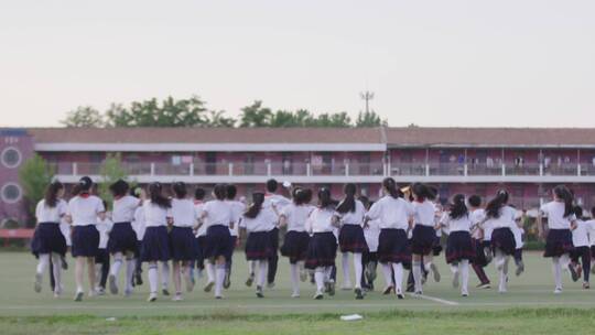 校园 中小学生 学习视频素材模板下载