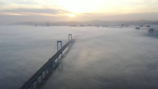 大桥平流雾 大连跨海大桥