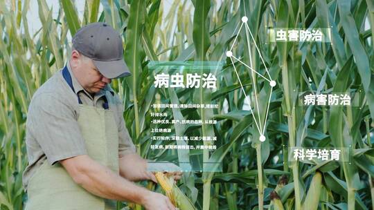 生态农业智慧农业科技农业合集