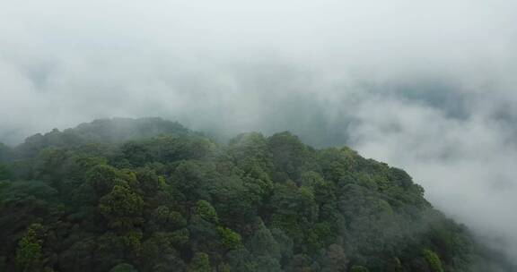 云气山林、烟雾缭绕、苍翠氤氲天台山 (15)