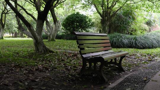 树林公园中的凳子