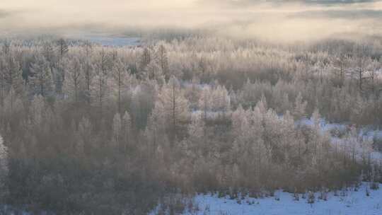 航拍林海雪原云雾弥漫山林雾凇2241102 (10)