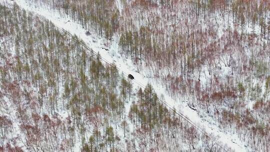 4k航拍车辆行驶在雪后的山林中