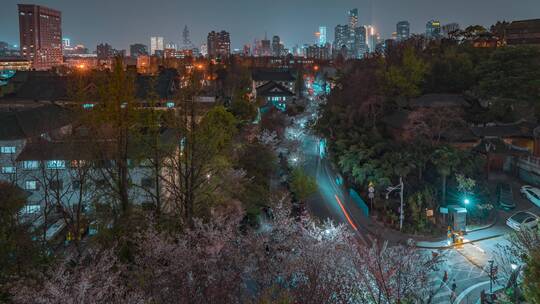 南京_樱花大道_鸡鸣寺路_夜景延时