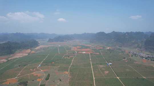 广西大面积甘蔗种植基地航拍