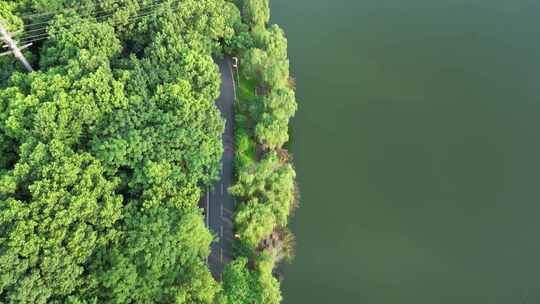 航拍衡阳南湖公园绝美风光美景