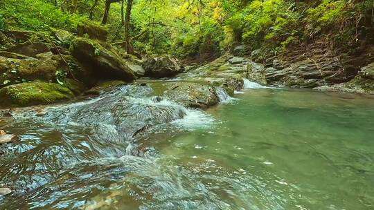 山林里面的小河流水