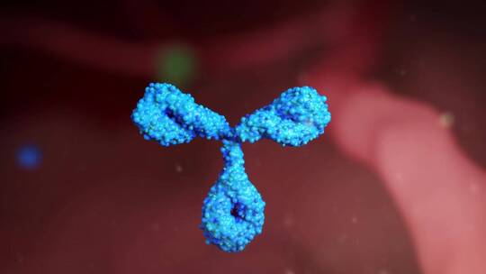 有害病毒细胞颗粒扩散入侵免疫系统三维动画