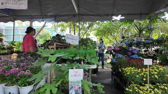 泰国色彩斑斓的鲜花市场