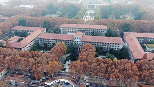 西安交通大学