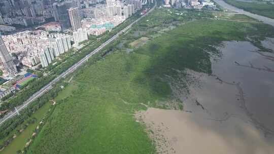 4K航拍深圳福田红树林湿地保护区