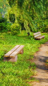 春天晴天公园里美丽的长凳