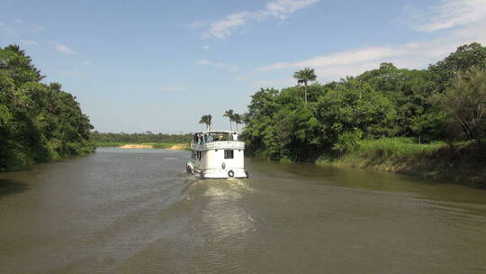 行驶在亚马逊河流上的船只视频素材模板下载