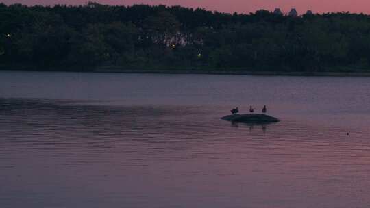 广州海珠湖公园夕阳落日黄昏余晖