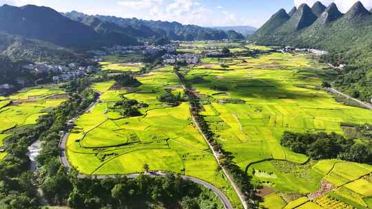 4k航拍贵州兴义万峰林金黄稻田丰收在望