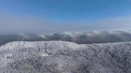 航拍大兴安岭冬季山林冻雾风景