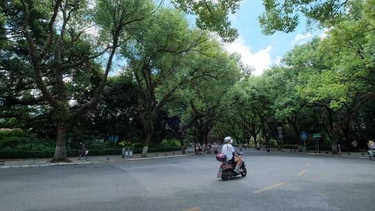 广西桂林城市道路绿树成荫的老城区街道街景