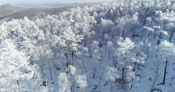 零下40度的低温航拍大兴安岭冰雪雾凇