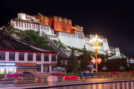 西藏拉萨布达拉宫夜景延时