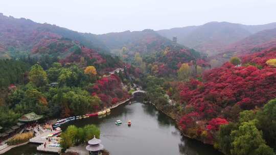 山东济南南部山区红叶谷秋天航拍