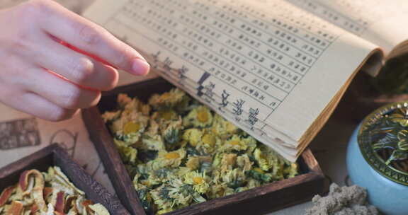 中医中草药黄帝内经