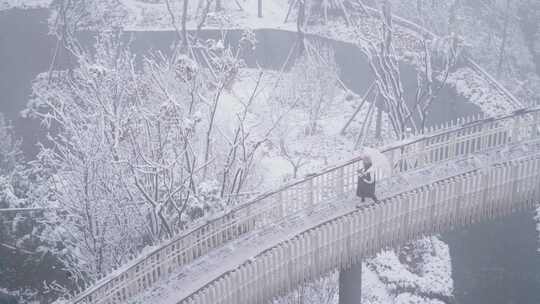 成都龙泉山森林公园下雪