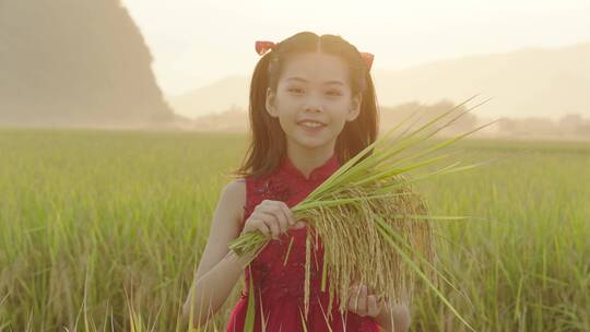 稻田里的小女孩手里拿着稻穗3