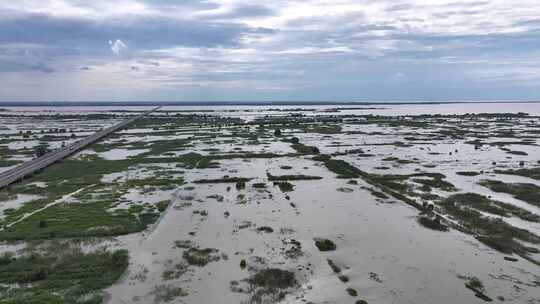 夏天汛期高邮湖、邵伯湖滩涂及高邮湖特大桥